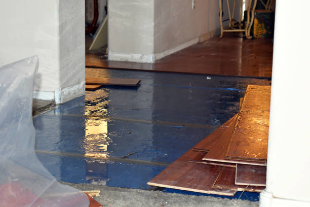 Professional Emergency Water Damage Restoration technician working in Warden, WA
